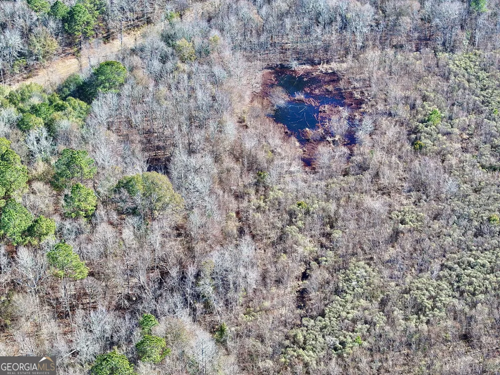 1 Cross Cedar RD Wrightsville, GA 31096