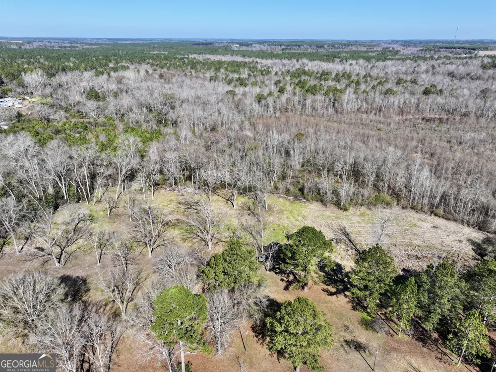 1 Cross Cedar RD Wrightsville, GA 31096