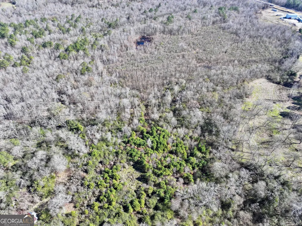 1 Cross Cedar RD Wrightsville, GA 31096