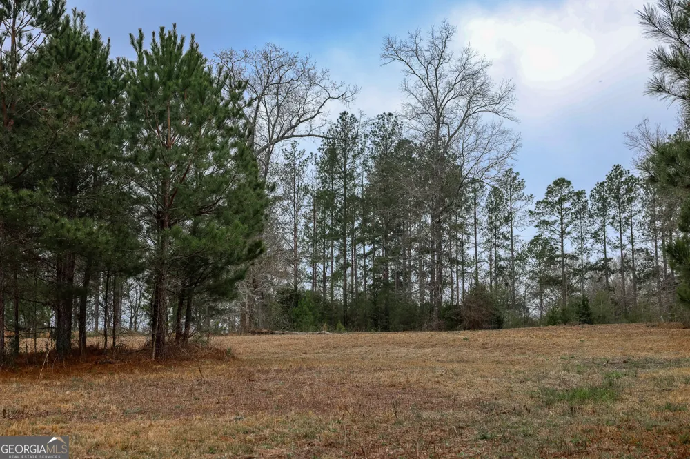 0 Wolf Creek DR Americus, GA 31709