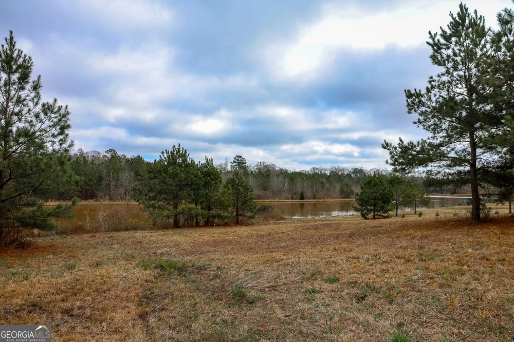 0 Wolf Creek DR Americus, GA 31709