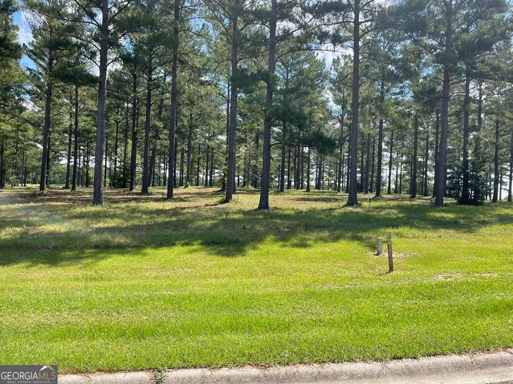 0 Thompson Level RD Lyons, GA 30436