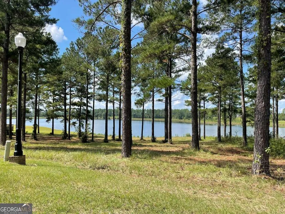 0 Thompson Level RD Lyons, GA 30436