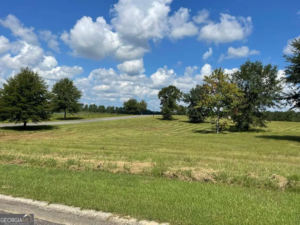 0 Thompson Level RD Lyons, GA 30436