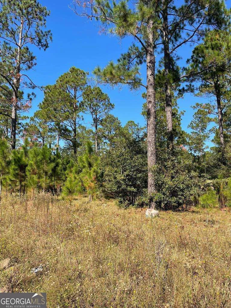 0 Hwy 292 Vidalia, GA 30474