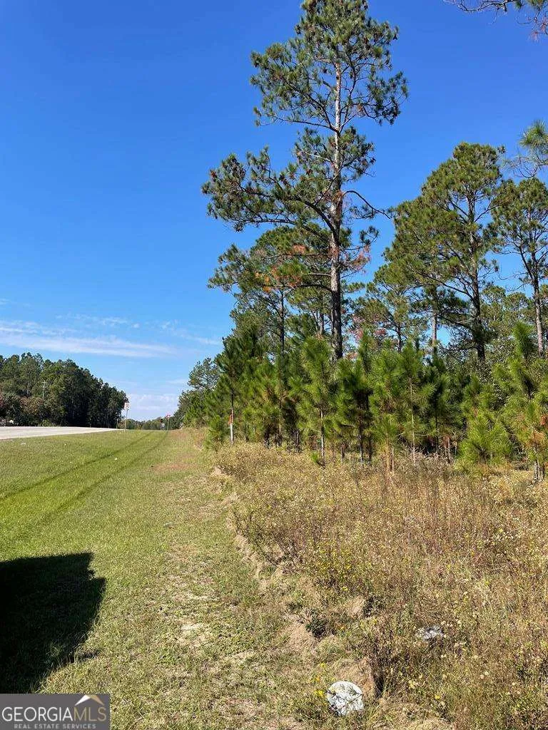 0 Hwy 292 Vidalia, GA 30474