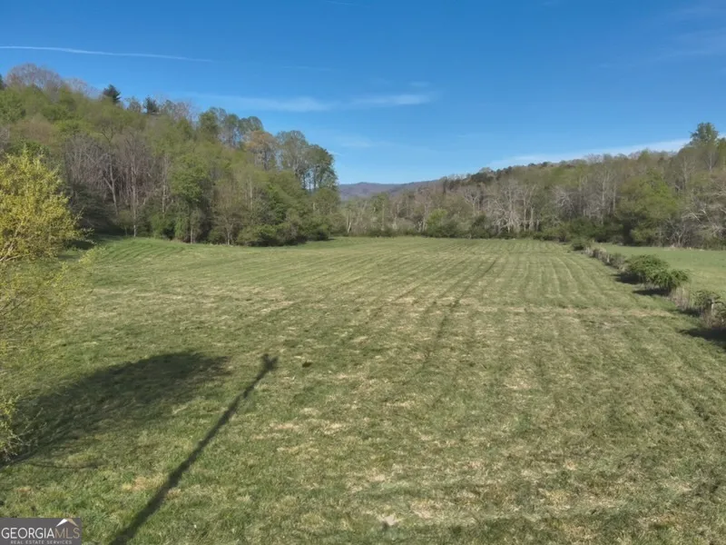7590 Mobile RD Blue Ridge, GA 30513