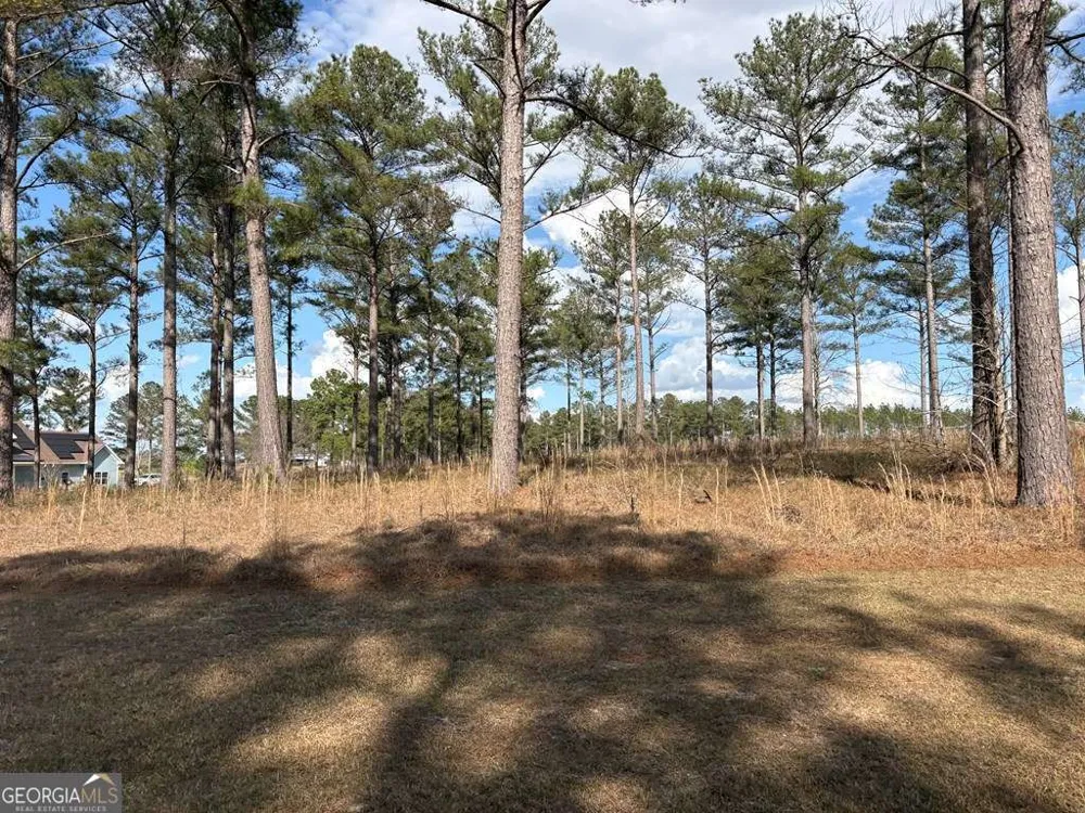 600 Thompson Level RD Lyons, GA 30436