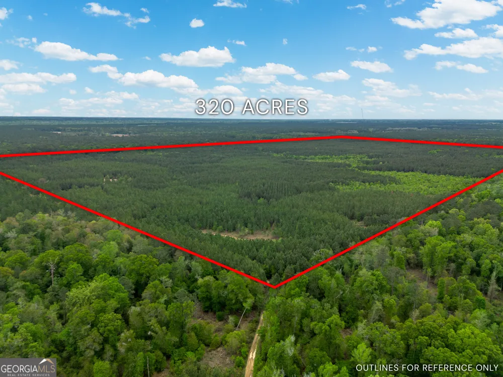 0 Highway 129 Abbeville, GA 31001