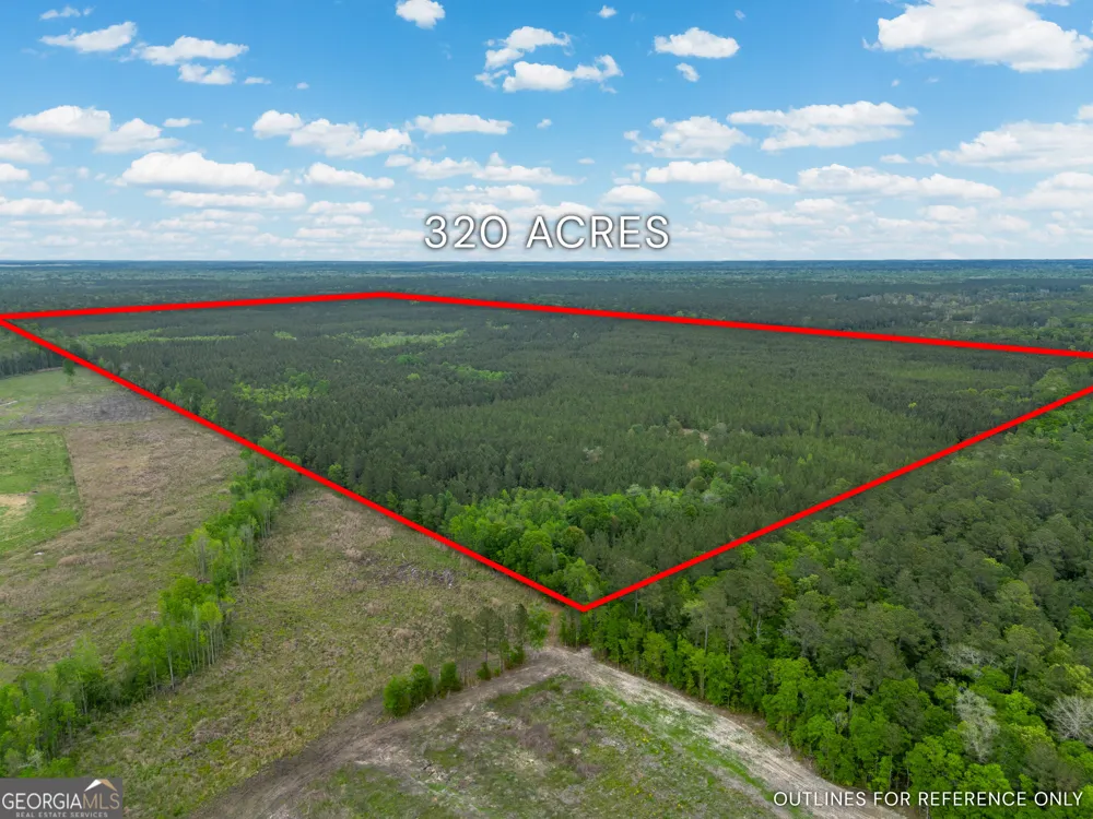 0 Highway 129 Abbeville, GA 31001