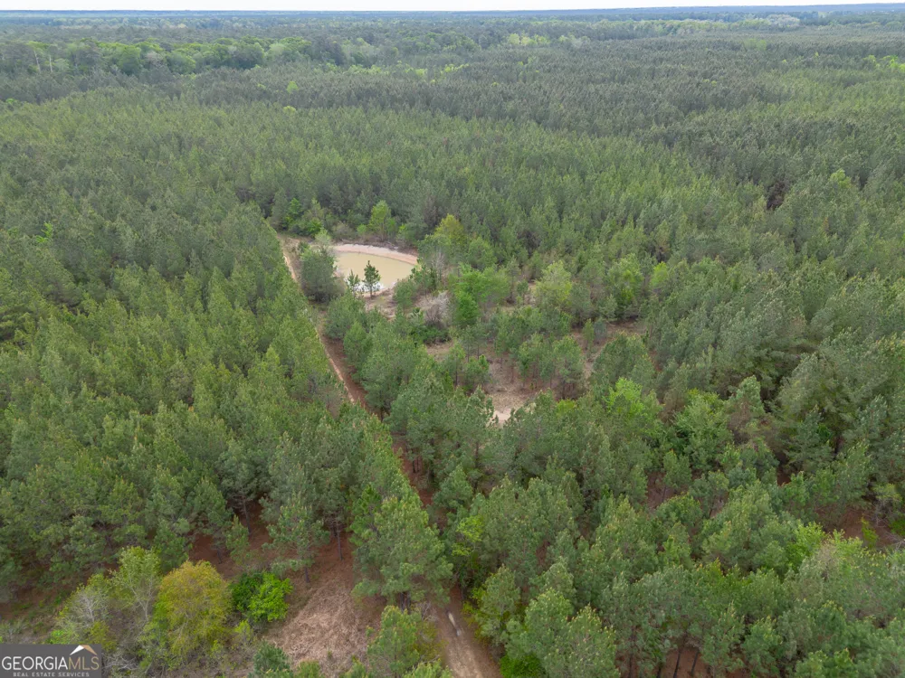 0 Highway 129 Abbeville, GA 31001