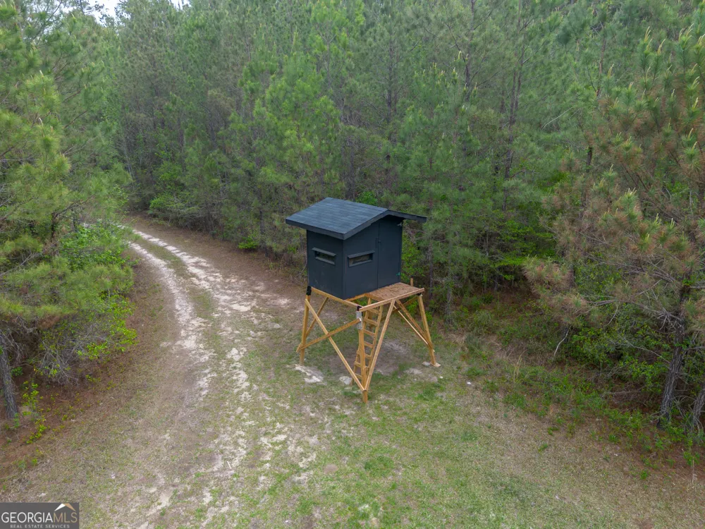 0 Highway 129 Abbeville, GA 31001