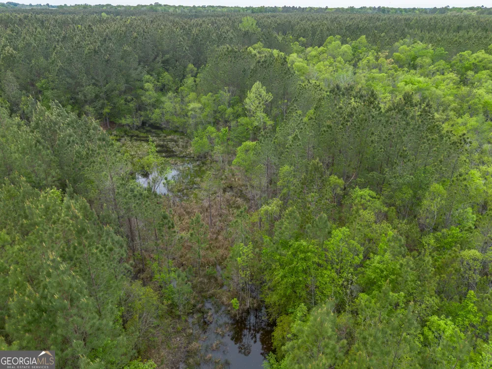 0 Highway 129 Abbeville, GA 31001