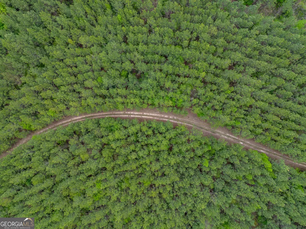 0 Highway 129 Abbeville, GA 31001