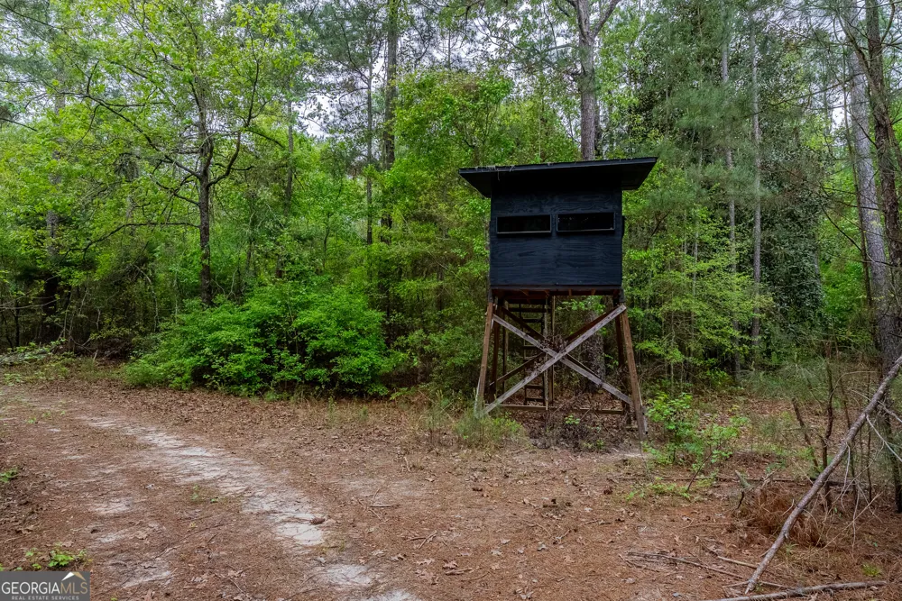 0 Highway 129 Abbeville, GA 31001