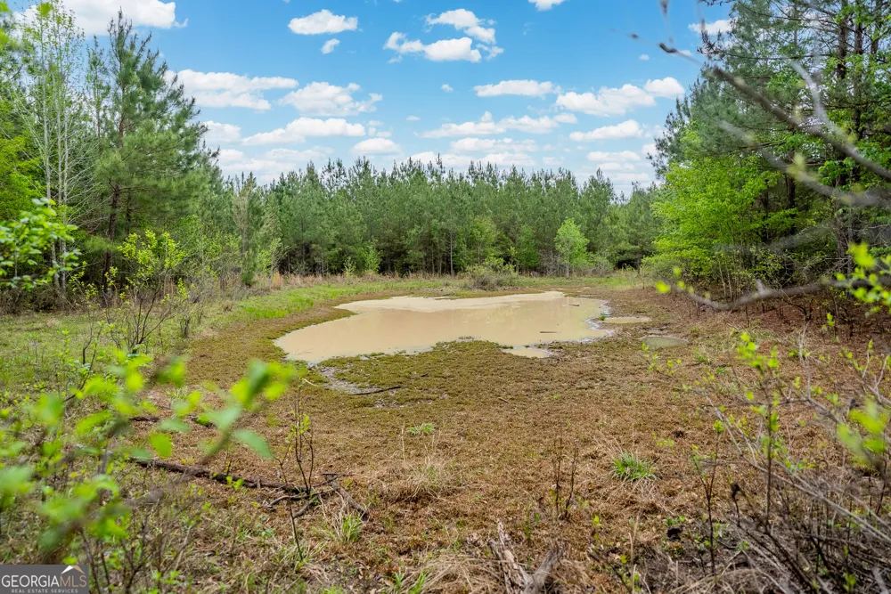 0 Highway 129 Abbeville, GA 31001