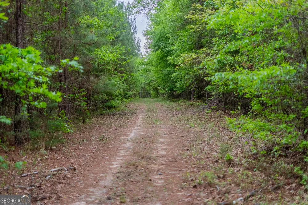 0 Highway 129 Abbeville, GA 31001