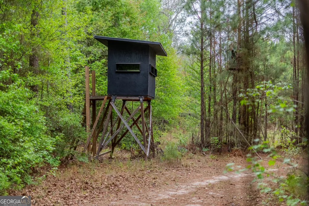 0 Highway 129 Abbeville, GA 31001