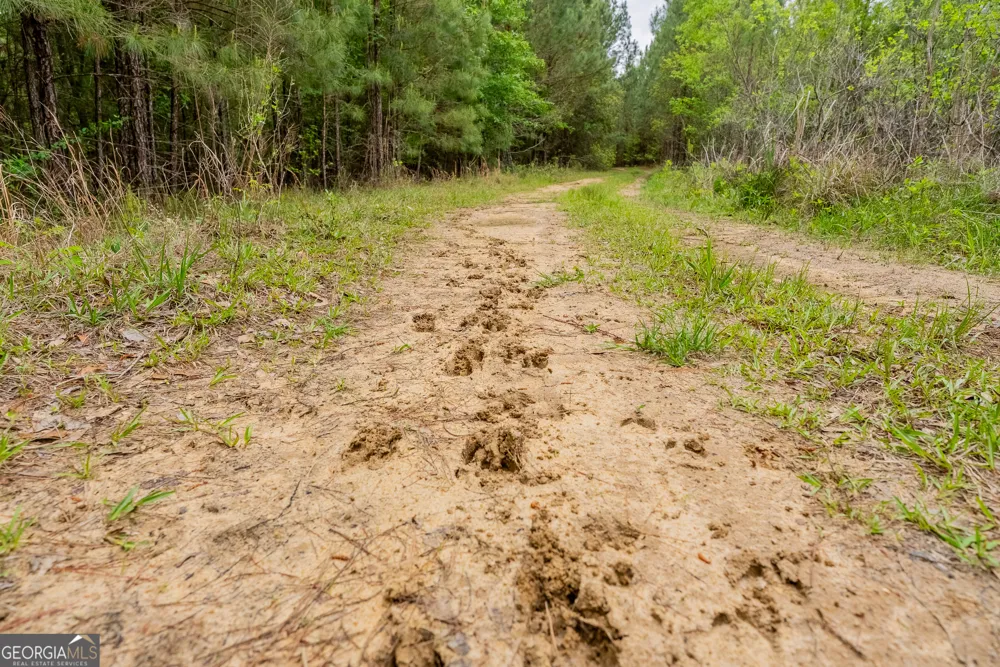 0 Highway 129 Abbeville, GA 31001