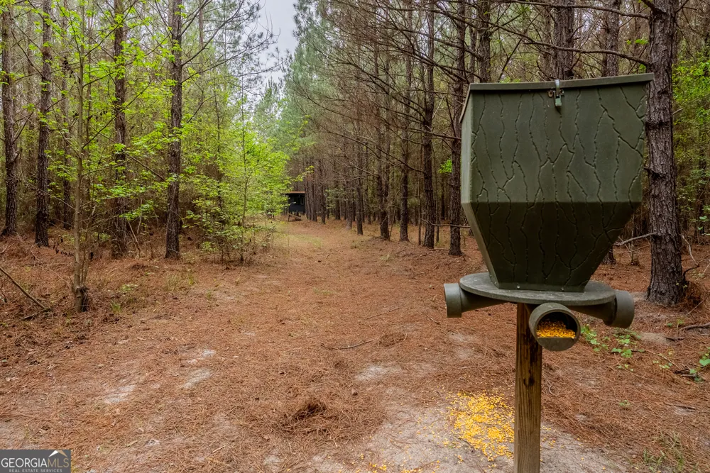 0 Highway 129 Abbeville, GA 31001