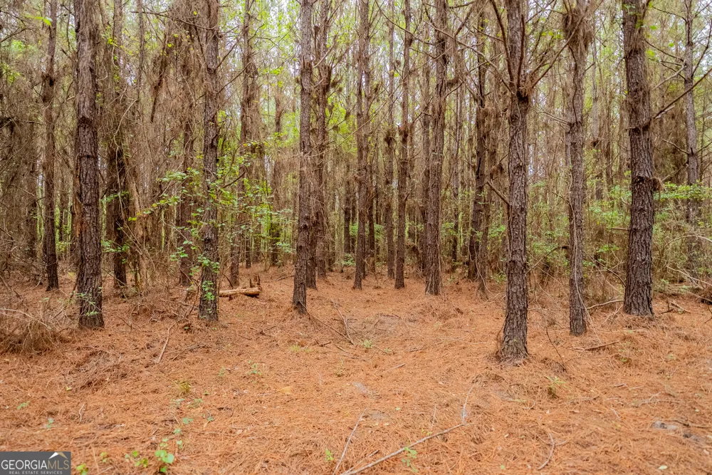 0 Highway 129 Abbeville, GA 31001