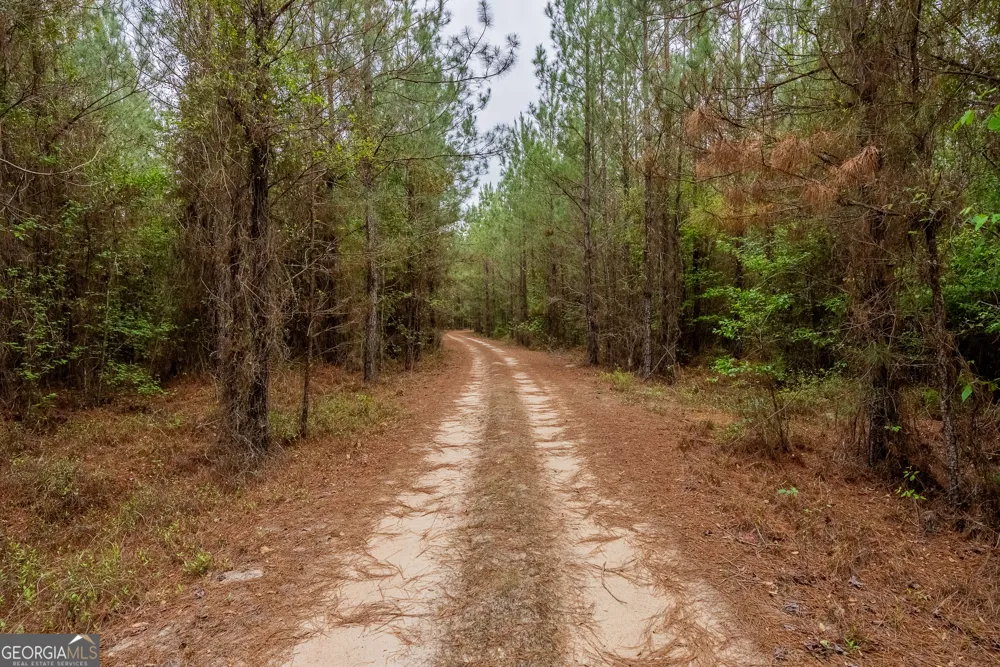 0 Highway 129 Abbeville, GA 31001