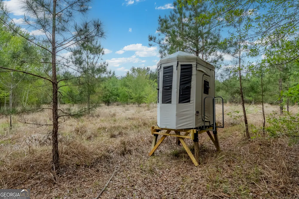 0 Highway 129 Abbeville, GA 31001