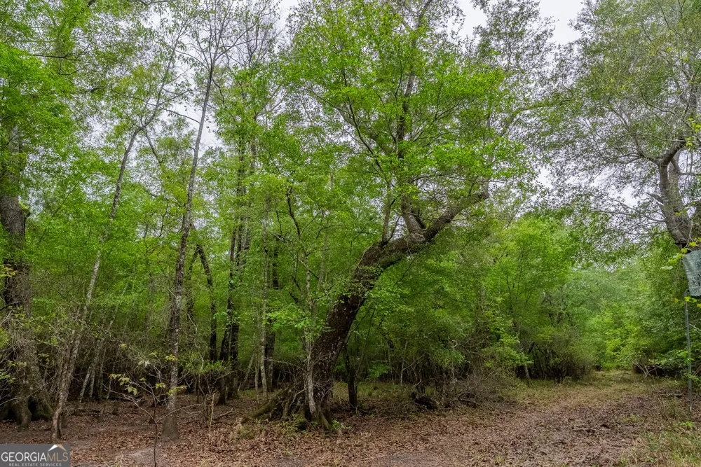 0 Highway 129 Abbeville, GA 31001