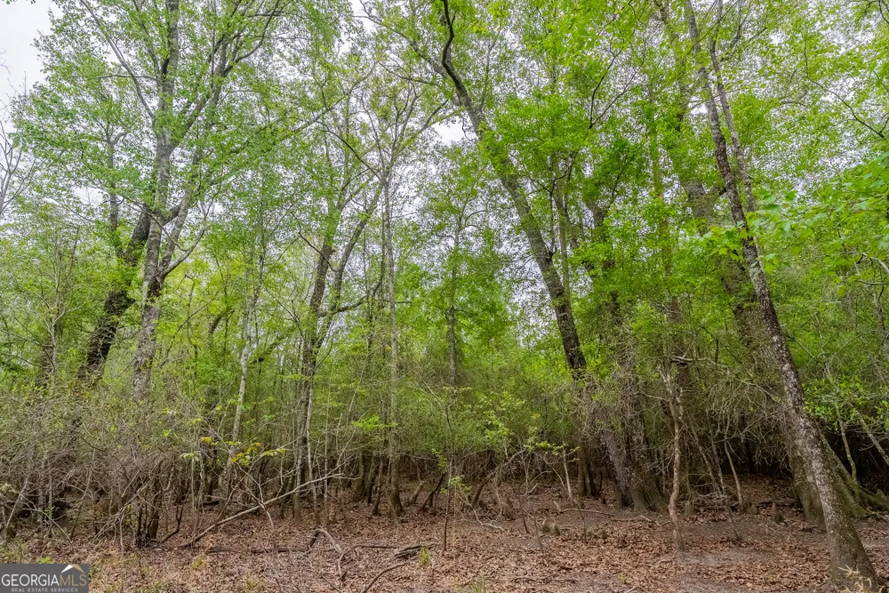 0 Highway 129 Abbeville, GA 31001