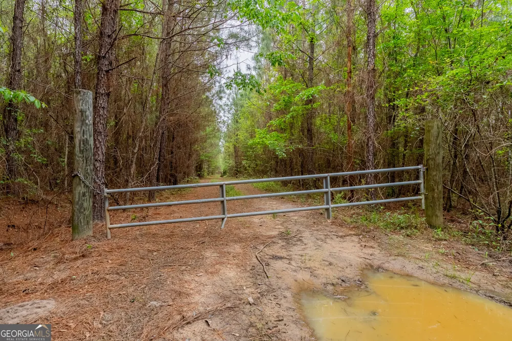 0 Highway 129 Abbeville, GA 31001