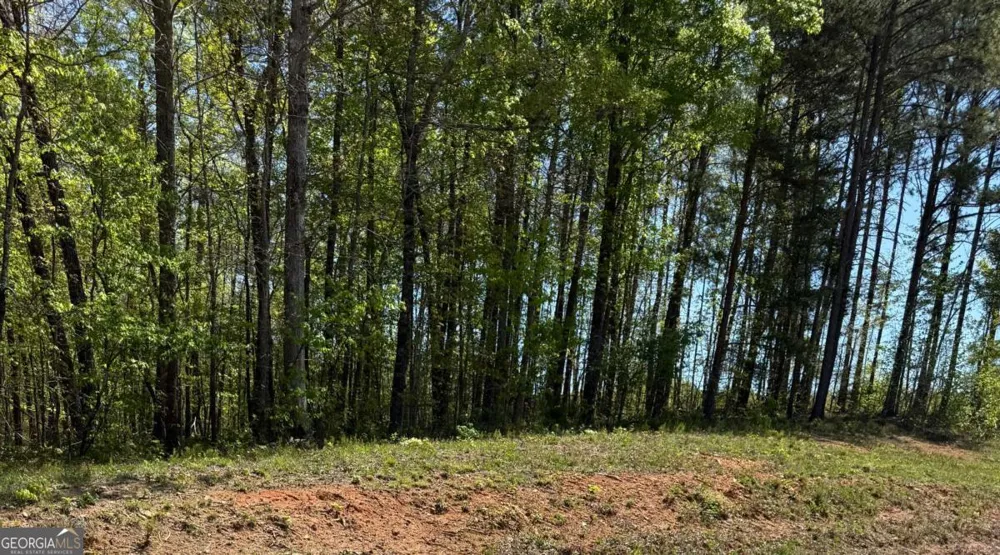 0 US HWY 27 Bremen, GA 30110