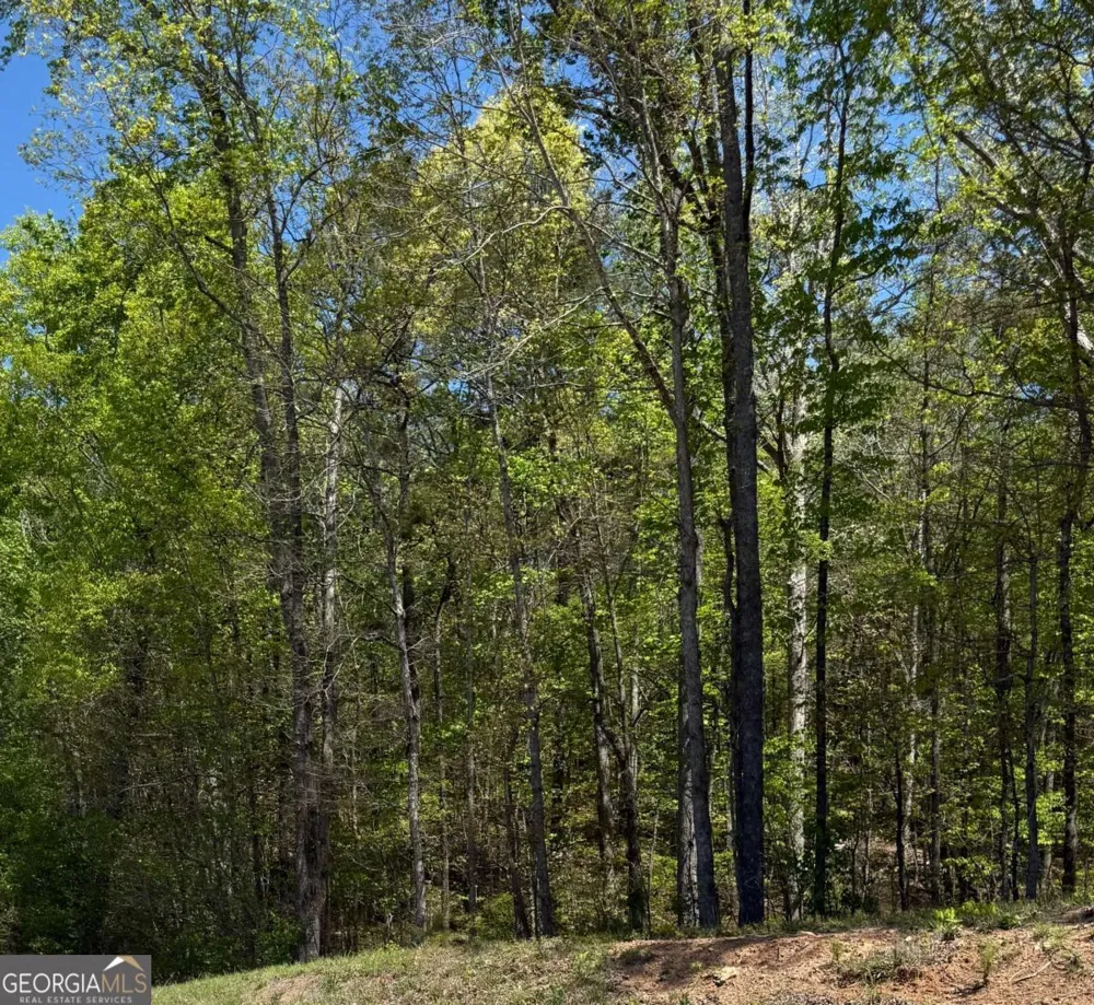 0 US HWY 27 Bremen, GA 30110
