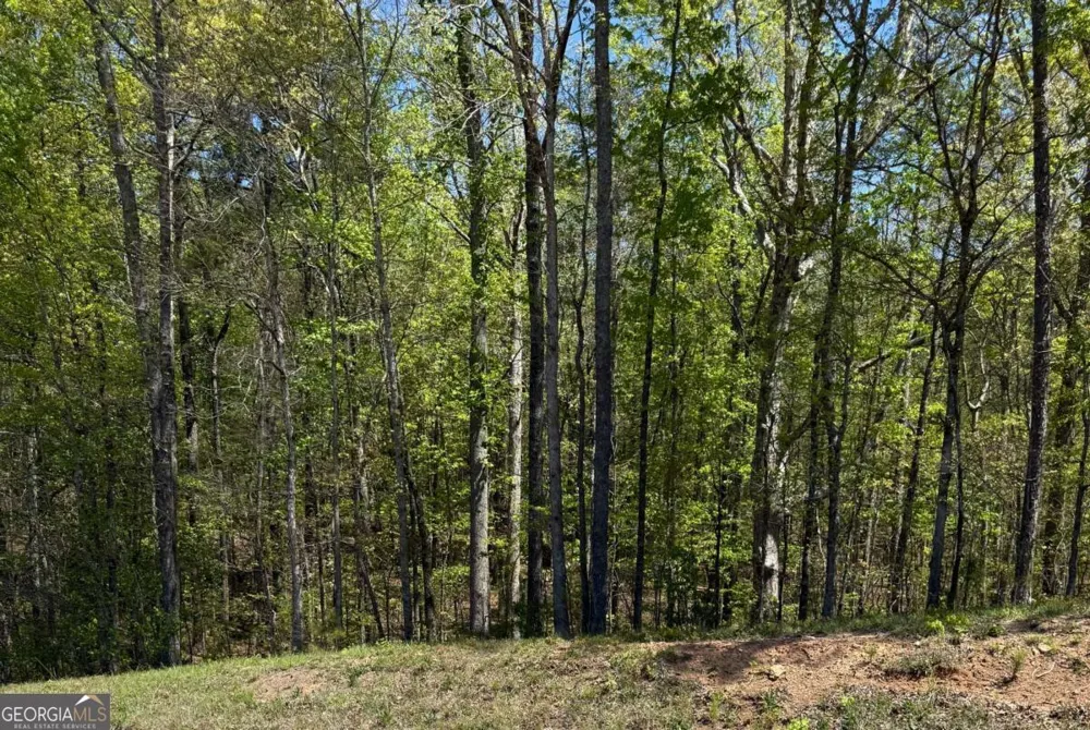 0 US HWY 27 Bremen, GA 30110
