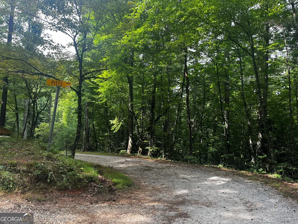 0 Pitts WAY Rabun Gap, GA 30568