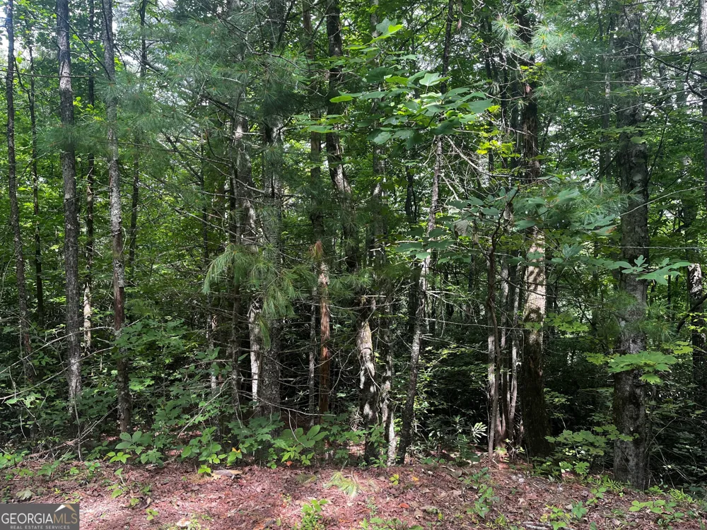 0 Pitts WAY Rabun Gap, GA 30568