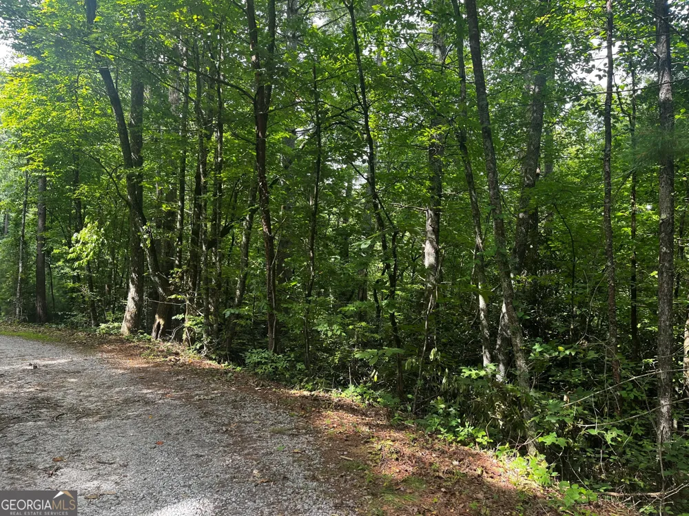 0 Pitts WAY Rabun Gap, GA 30568