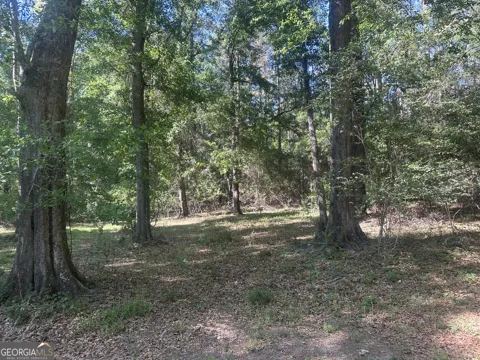0 Burtons Ferry HWY