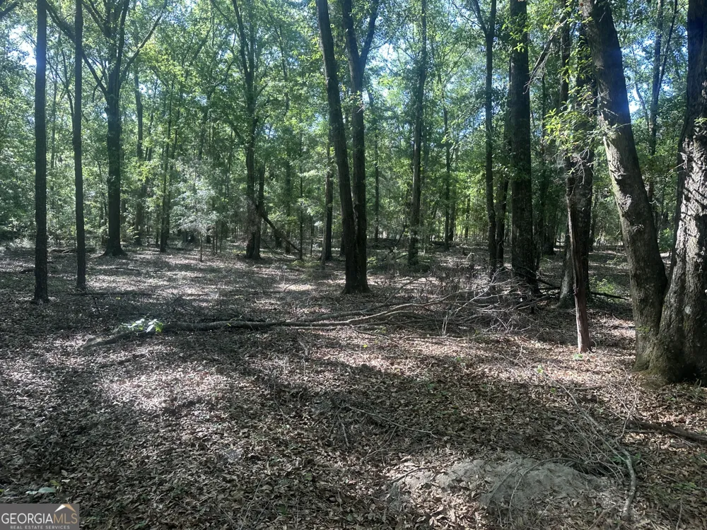0 Burtons Ferry HWY Sylvania, GA 30467