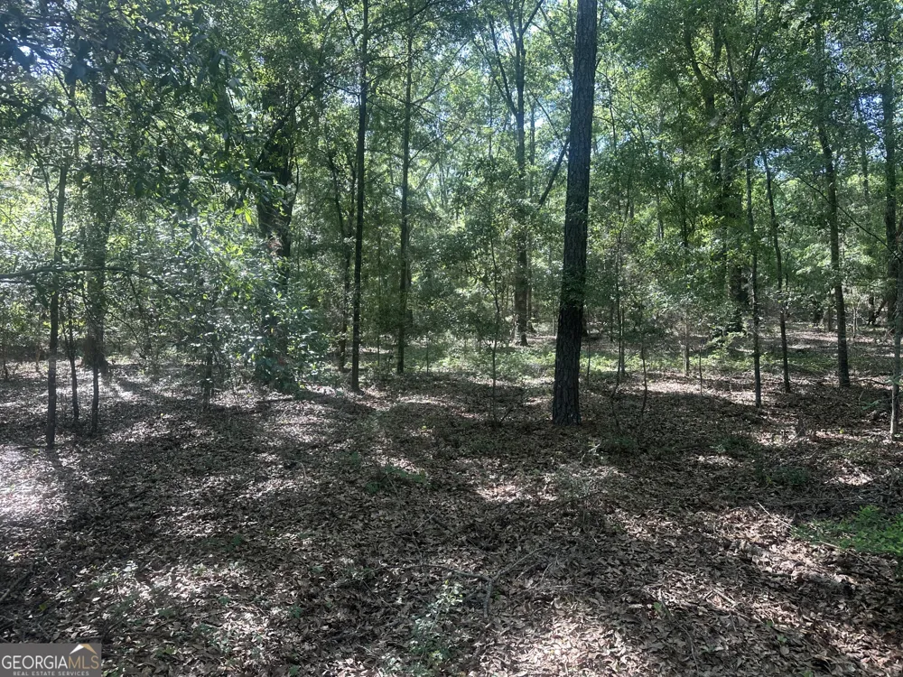 0 Burtons Ferry HWY Sylvania, GA 30467
