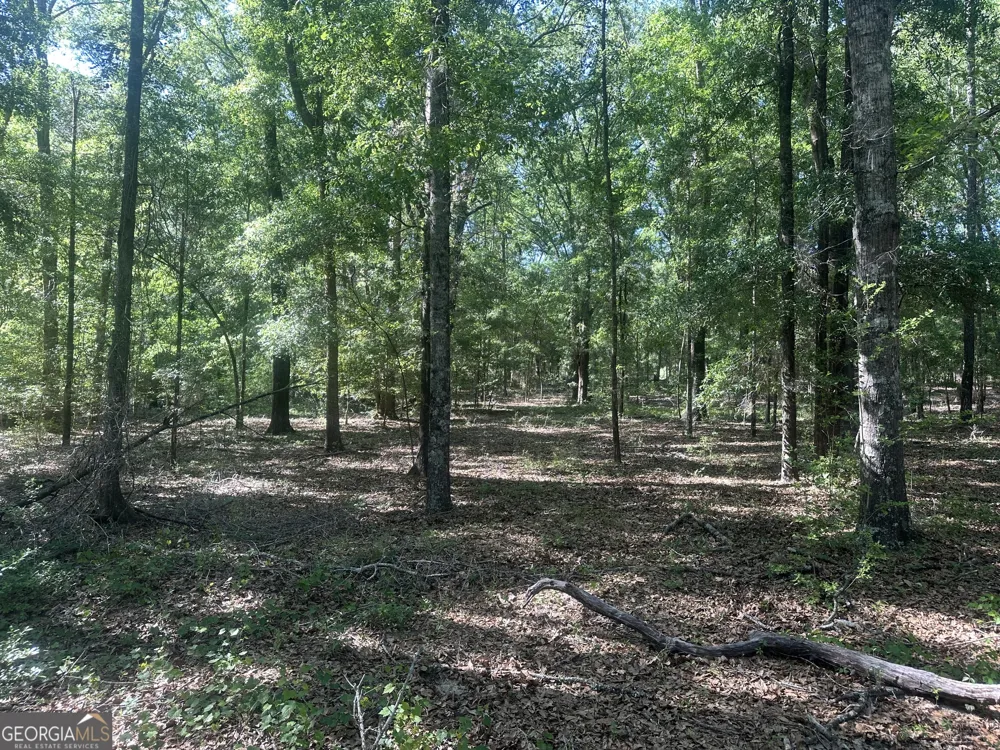 0 Burtons Ferry HWY Sylvania, GA 30467