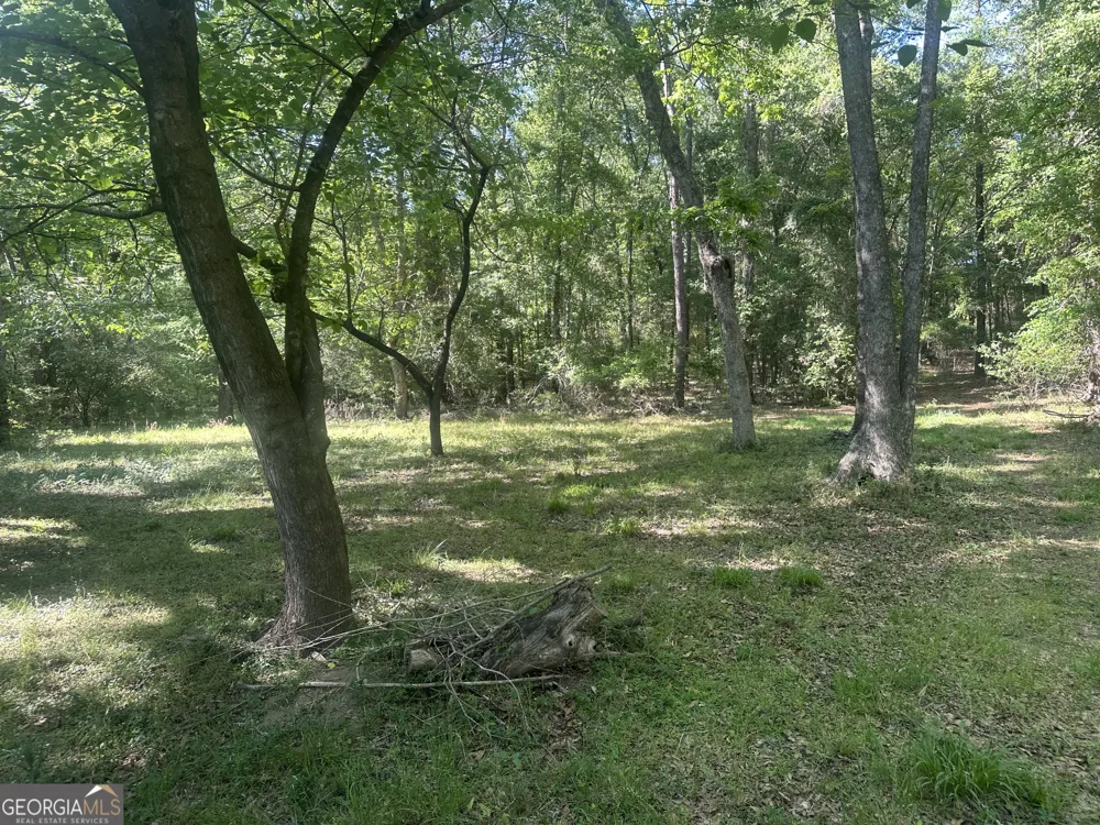 0 Burtons Ferry HWY Sylvania, GA 30467