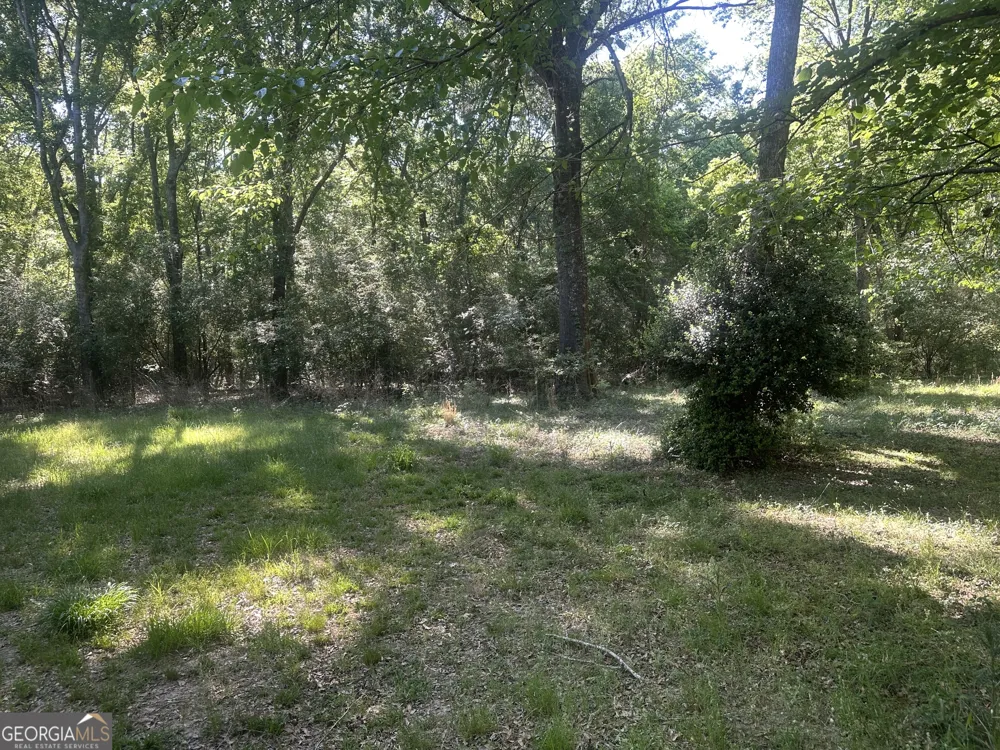 0 Burtons Ferry HWY Sylvania, GA 30467