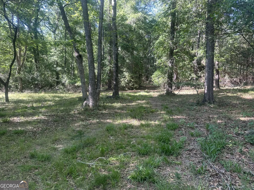 0 Burtons Ferry HWY Sylvania, GA 30467