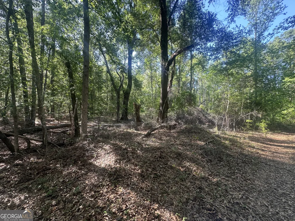 0 Burtons Ferry HWY Sylvania, GA 30467
