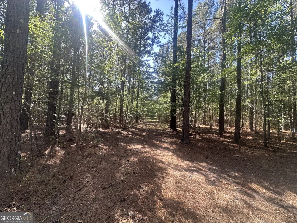 0 Burtons Ferry HWY Sylvania, GA 30467