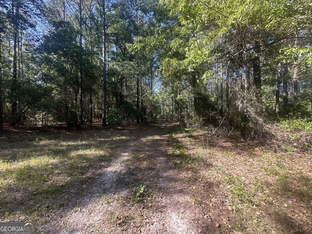 0 Burtons Ferry HWY Sylvania, GA 30467