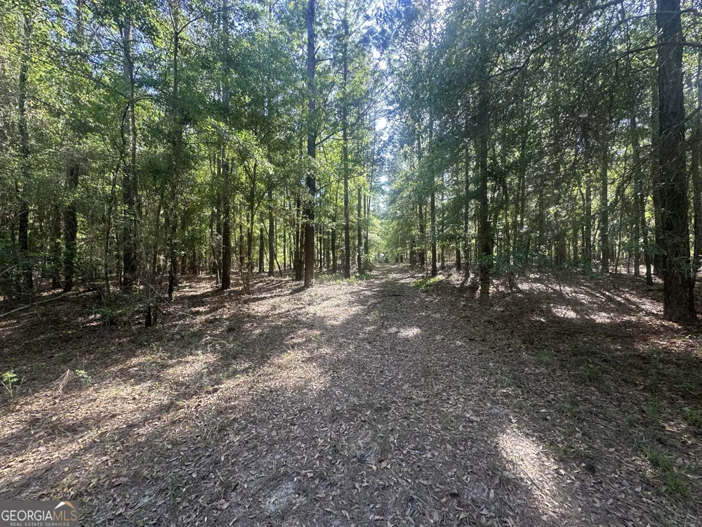 0 Burtons Ferry HWY Sylvania, GA 30467