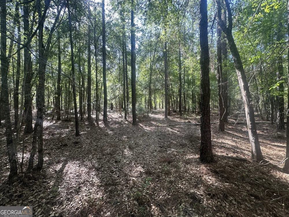 0 Burtons Ferry HWY Sylvania, GA 30467