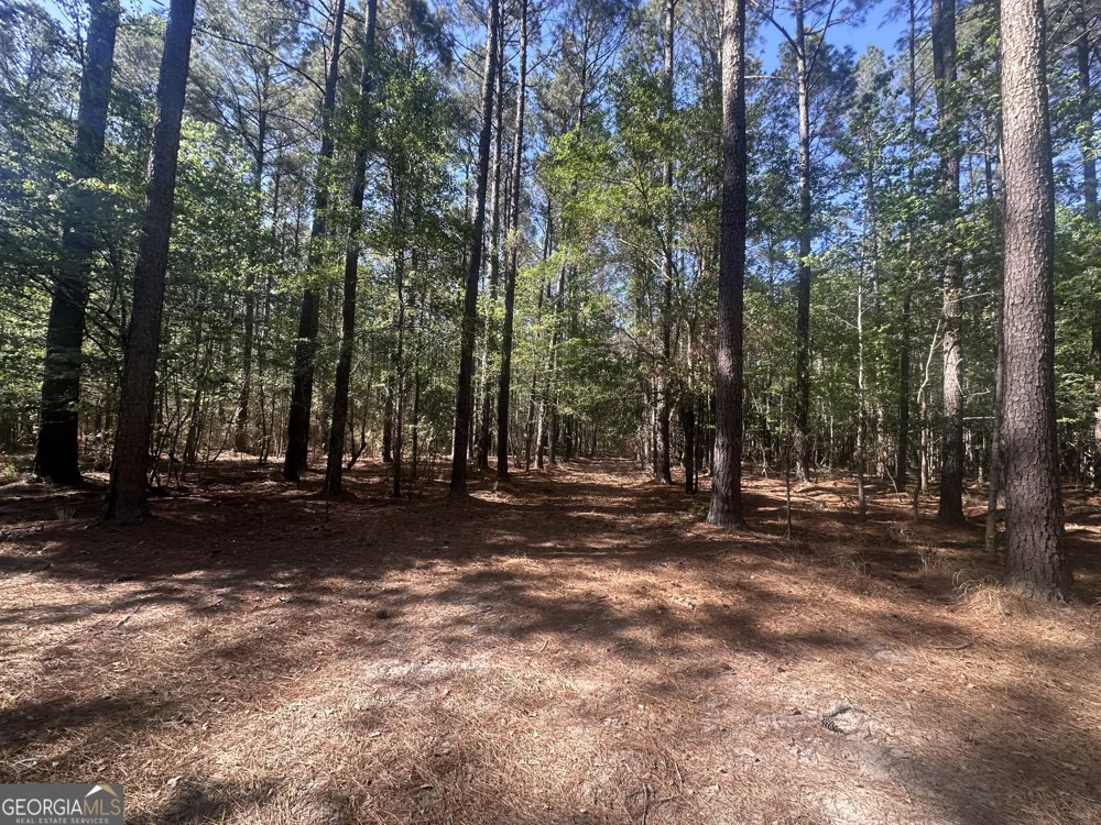 0 Burtons Ferry HWY Sylvania, GA 30467