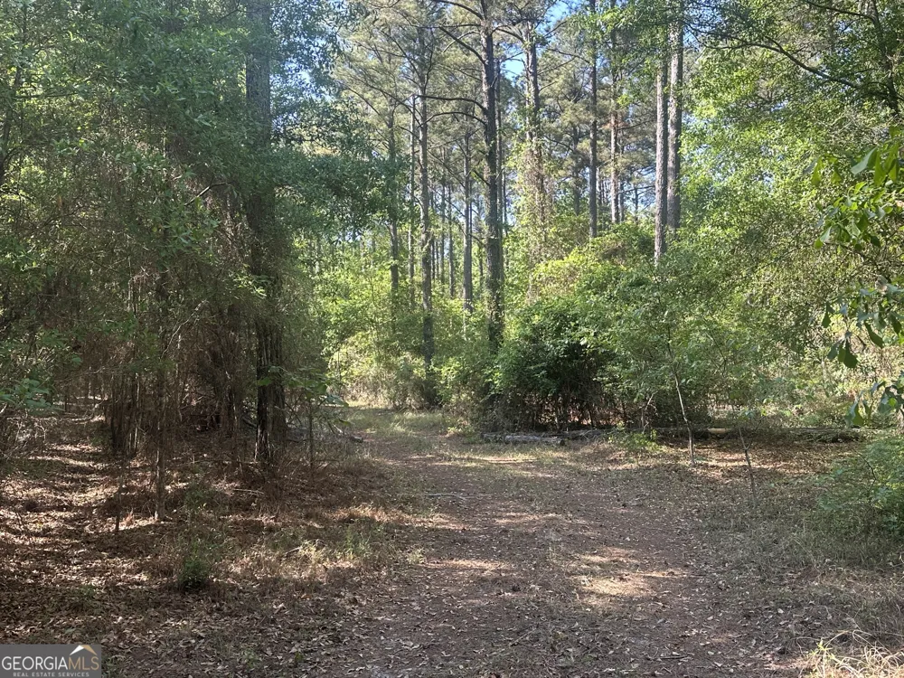0 Burtons Ferry HWY Sylvania, GA 30467